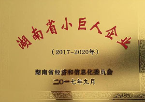 湖南省小巨人企業(yè)