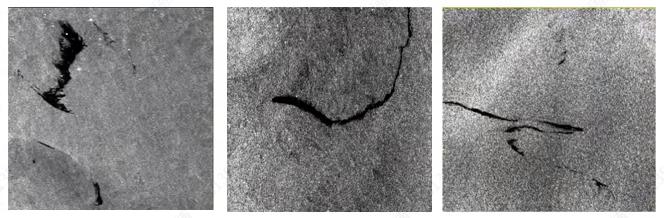 1693202612586131.jpg 450.jpg