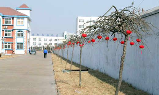 青島華海環(huán)保工業(yè)有限公司張燈結(jié)彩，迎接新春和元宵佳節(jié)