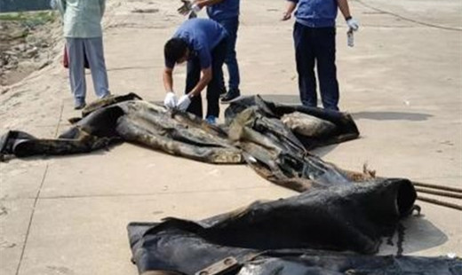 破案了！這就是“三峽水怪”的真面目……